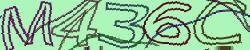 Darstellung des Captcha-Codes.