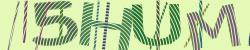 Darstellung des Captcha-Codes.